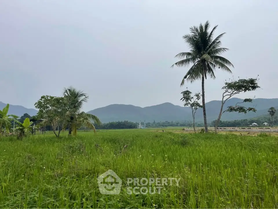 Scenic view of lush green fields with palm trees and distant mountains, perfect for serene living.