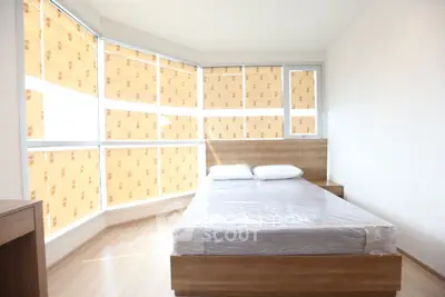 Bright bedroom with large windows and modern wooden furniture