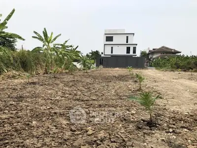 Modern minimalist house with expansive land and lush greenery, perfect for development opportunities.