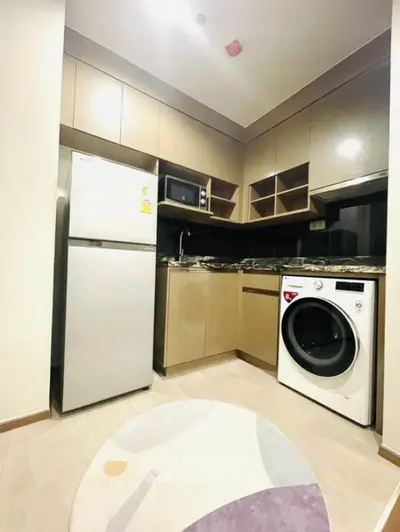 Modern kitchen with appliances including fridge, microwave, and washing machine in compact layout.