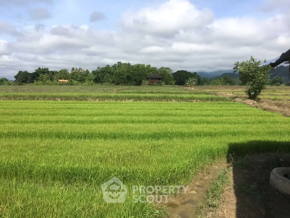 Scenic view of lush green rice fields with a distant farmhouse under a cloudy sky, perfect for rural real estate.