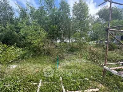 Lush green land plot surrounded by trees, perfect for development or investment.