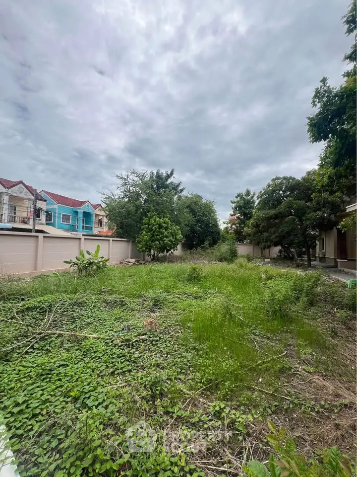Spacious residential plot with lush greenery and potential for development.