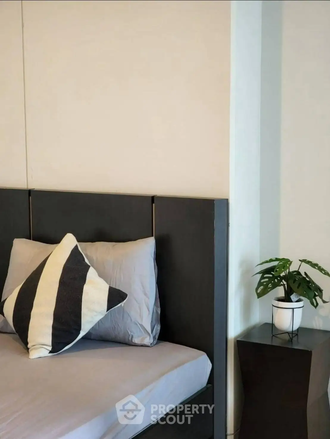 Cozy bedroom with modern decor and stylish plant accent