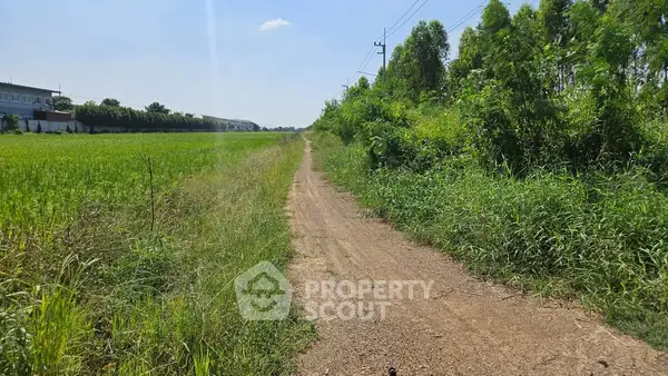 image_rental-27369234