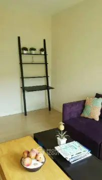 Cozy living room with modern decor and stylish shelving