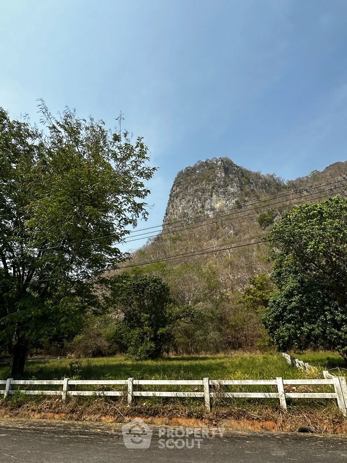 Scenic view of lush greenery and mountain backdrop ideal for real estate development.