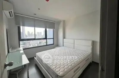 image_rental-30906489