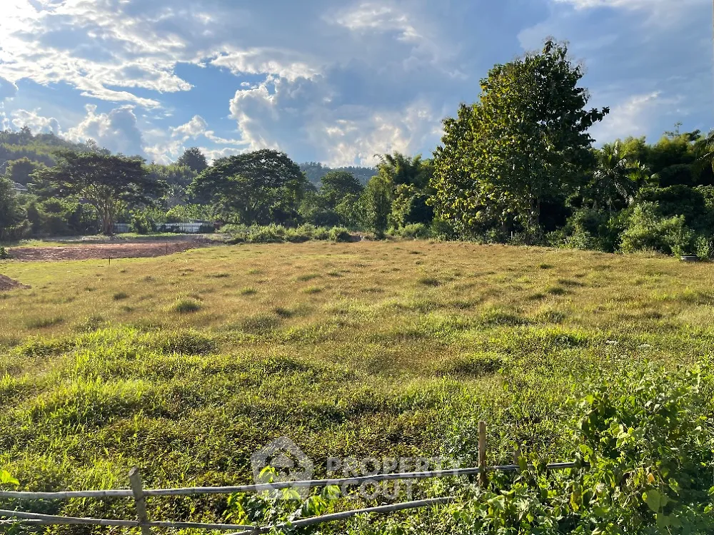 Expansive lush green land under a clear blue sky, ideal for development or a grand estate, surrounded by nature's beauty.