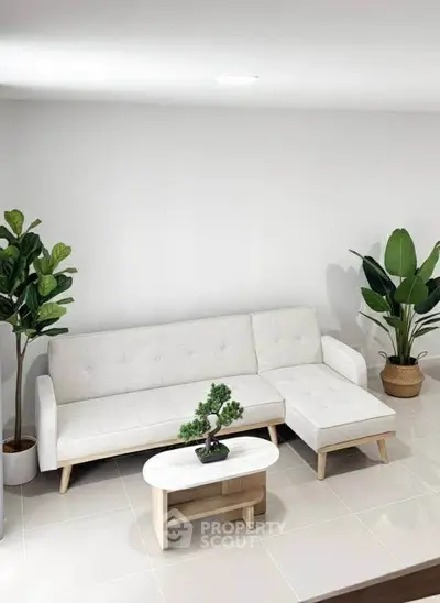 Modern living room with white sectional sofa and stylish plants