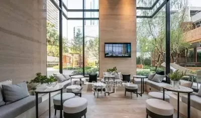 Luxurious modern lounge with floor-to-ceiling windows and garden view
