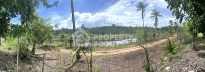 Scenic rural land with lush greenery and a serene pond, ideal for development or agriculture.