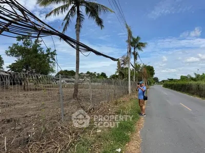 Vacant land with palm trees and road access, ideal for development opportunities.
