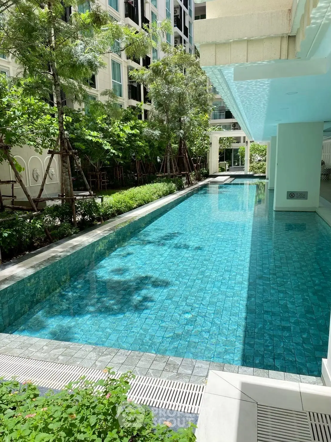 Luxurious residential pool surrounded by lush greenery and modern architecture.