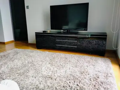 Modern living room with sleek TV stand and plush carpet