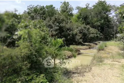 Lush green land with trees and a small pond, ideal for development or agriculture.