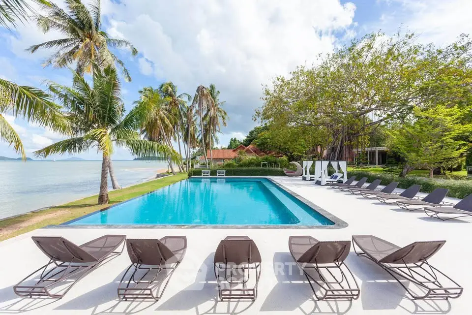 Luxurious beachfront pool with palm trees and ocean view, perfect for relaxation and leisure.