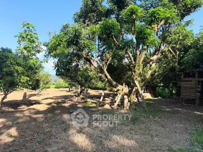 Expansive outdoor garden with lush trees and open space, perfect for nature lovers and outdoor activities.