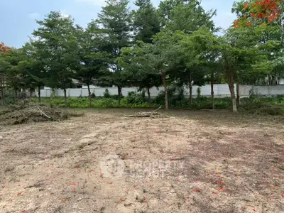 Spacious plot of land with lush greenery and trees, perfect for development opportunities.