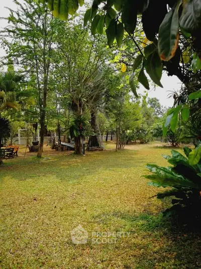 Spacious garden with lush greenery and mature trees, perfect for outdoor relaxation and activities.