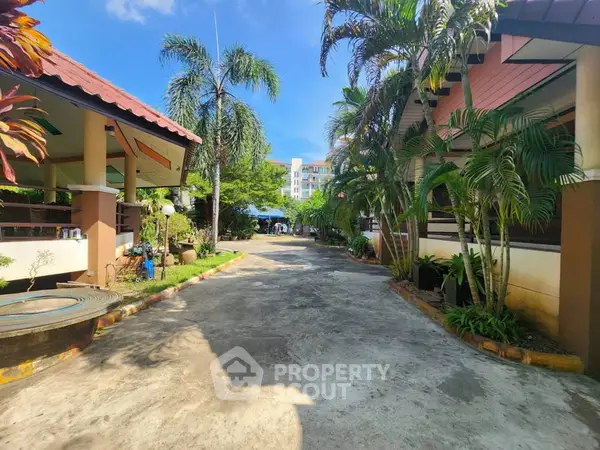 image_rental-31681536