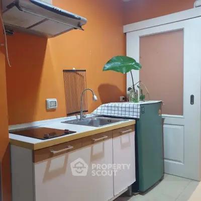 Charming kitchen with vibrant orange walls, compact layout, and modern appliances, perfect for cozy cooking experiences.