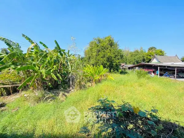 image_rental-20177447