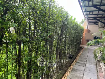 Charming garden pathway with lush greenery and modern roofing