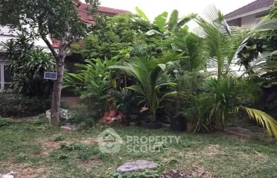 image_rental-6554767