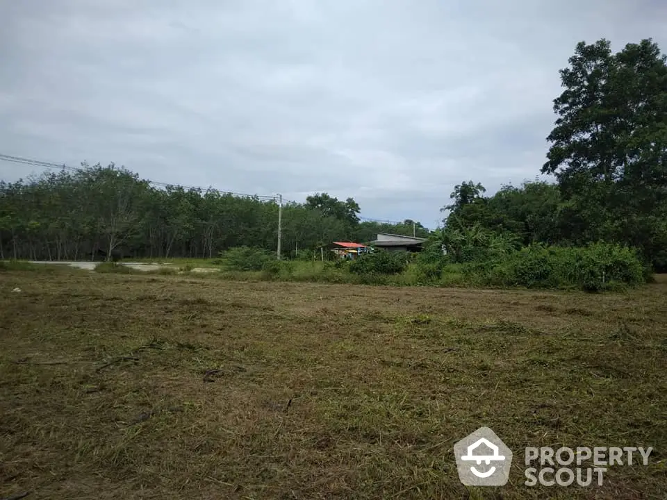 Expansive land plot with lush greenery and distant trees, perfect for development opportunities.