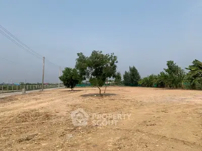 Expansive vacant land with trees, ideal for development opportunities.