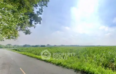 image_rental-28553827