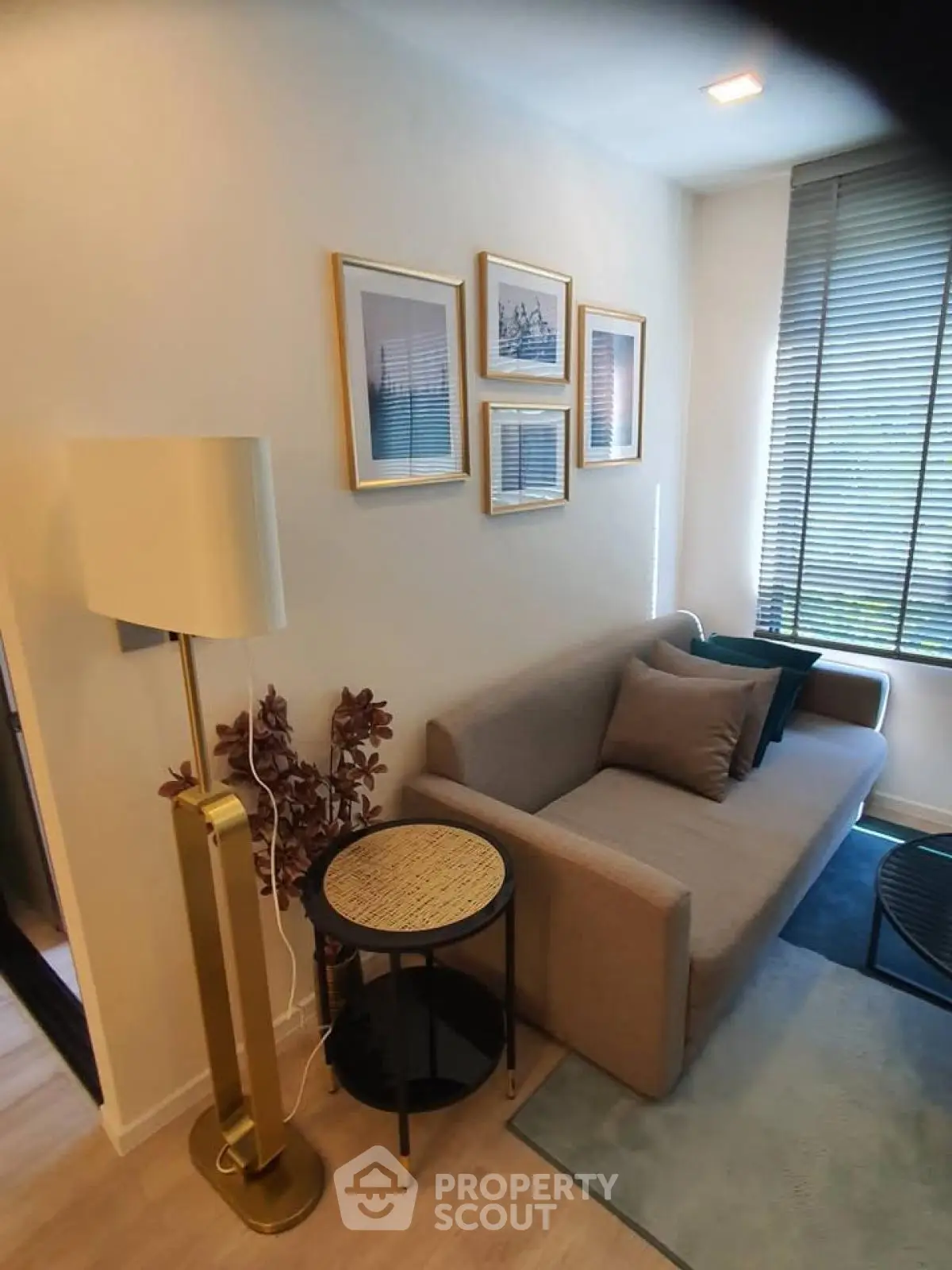 Cozy living room with modern decor and natural light