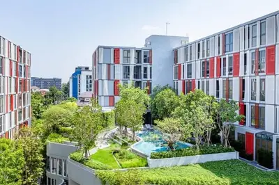 image_rental-31026385