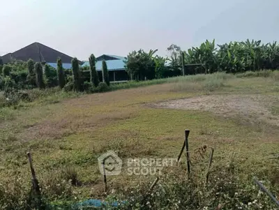 Spacious vacant land with lush greenery, ideal for development or investment opportunities.