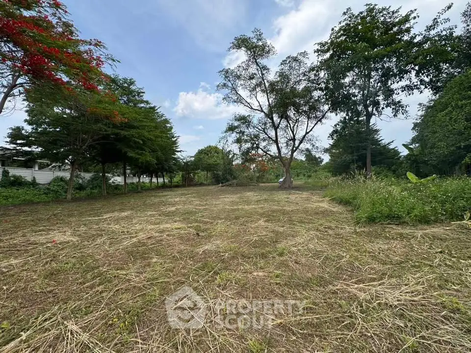 Expansive vacant land with lush greenery, perfect for development opportunities.