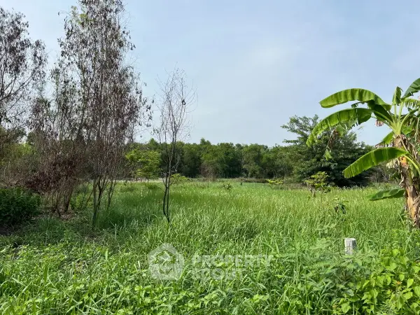 image_rental-24583543