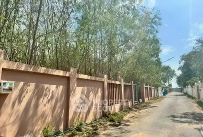 image_rental-28759812