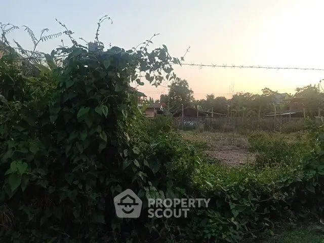 Scenic view of a lush green plot of land with potential for development at sunset.