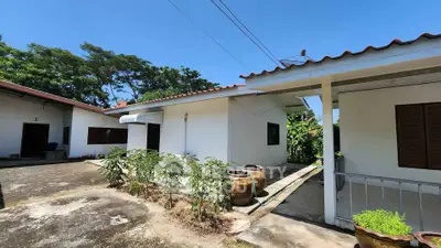 Charming single-story home with spacious outdoor area and lush greenery, perfect for serene living.