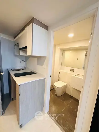 Compact modern kitchen and bathroom in a stylish apartment