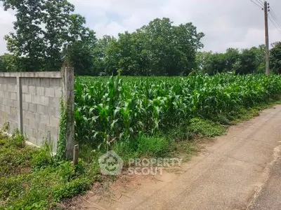 Lush green agricultural land with potential for development, bordered by a concrete wall and road access.