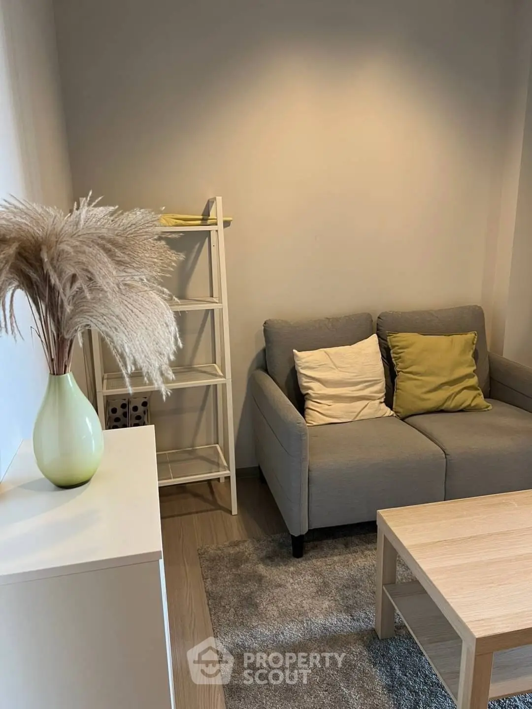 Cozy living room with modern gray sofa and stylish decor