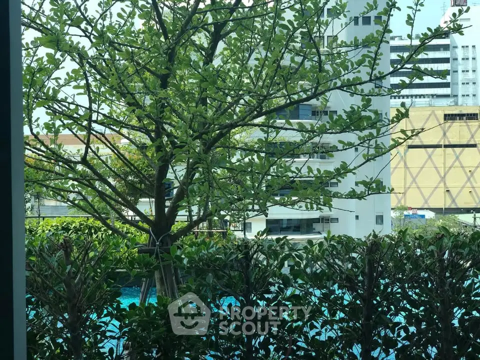 Lush garden view with pool and modern building backdrop