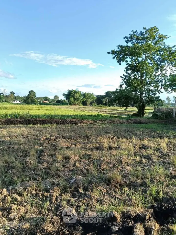 Expansive agricultural land with lush greenery and clear blue sky, perfect for farming or development.
