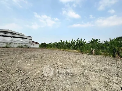 Expansive land plot with lush greenery, perfect for development opportunities.