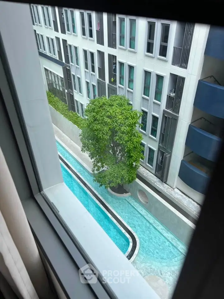 Modern apartment view with pool and lush greenery from window