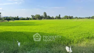 image_rental-26811956