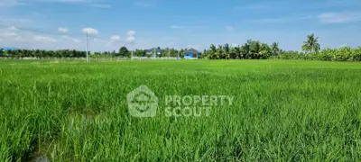 Expansive green field with distant view of rural houses and clear blue sky, ideal for agricultural investment.