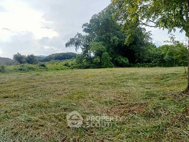 Expansive green land with lush trees, perfect for development or agriculture.